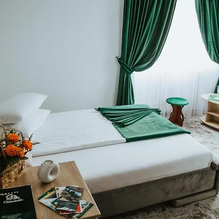 Konukevi Vila Calimanel Vatra Dornei